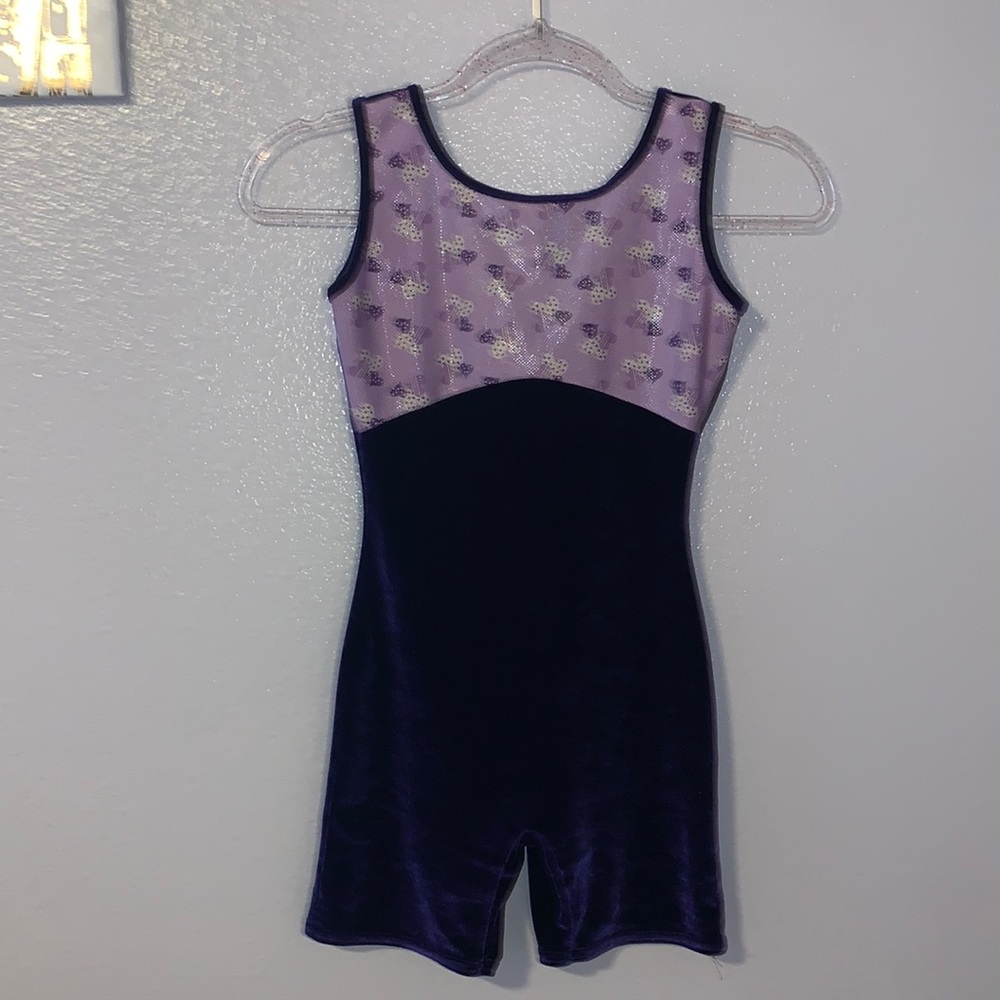 Duck Crossing by Avenue purple velour ballet dance leotard